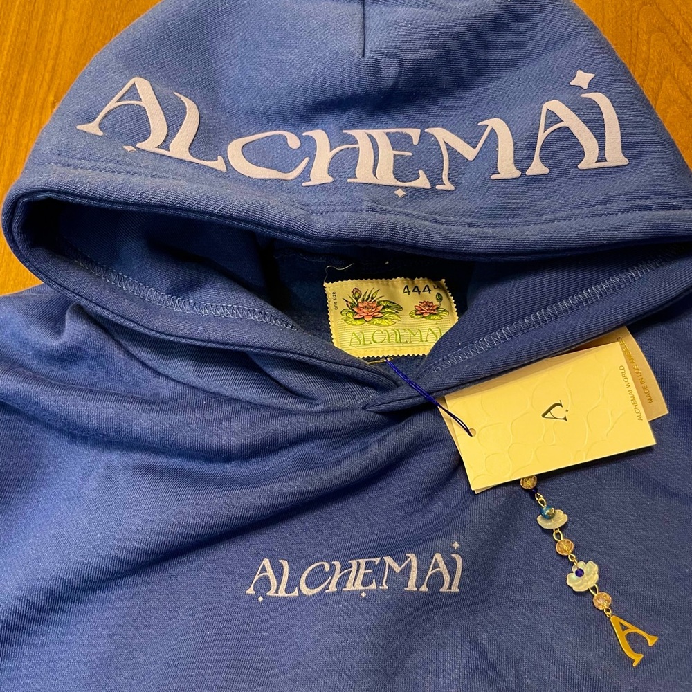 Alchemai blue “your fear of looking stupid is holding you back” hoodie
